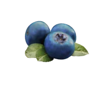 Arándanos azules frescos