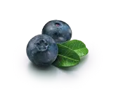 Arándanos